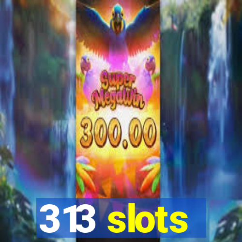 313 slots